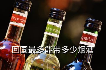 回国最多能带多少烟酒