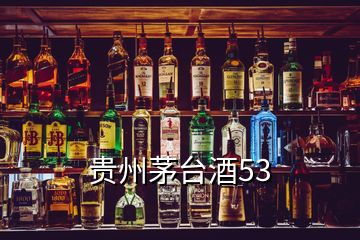 贵州茅台酒53