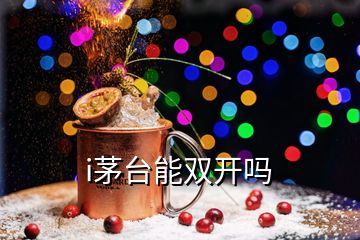 i茅台能双开吗