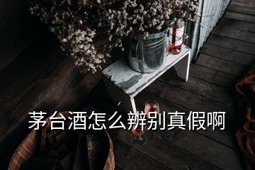 茅台酒怎么辨别真假啊