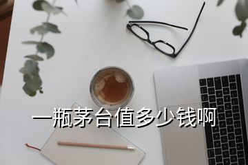 一瓶茅台值多少钱啊