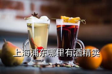 上海浦东哪里有酒精卖