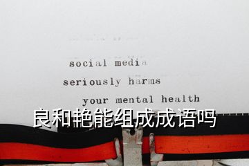 良和艳能组成成语吗