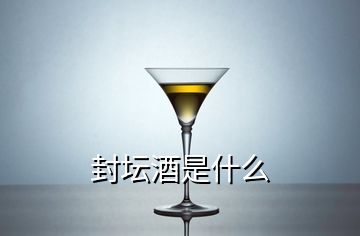 封坛酒是什么