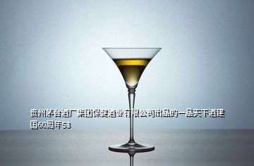 贵州茅台酒厂集团保健酒业有限公司出品的一品天下酒建国60周年53