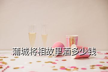 蒲城将相故里酒多少钱