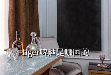 tiger啤酒是哪国的