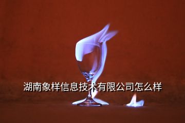 湖南象样信息技术有限公司怎么样