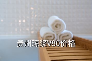 贵州琼浆V80价格