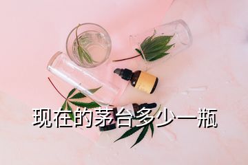 现在的茅台多少一瓶