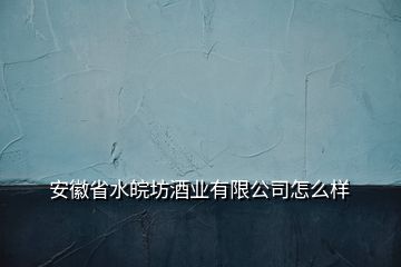 安徽省水皖坊酒业有限公司怎么样