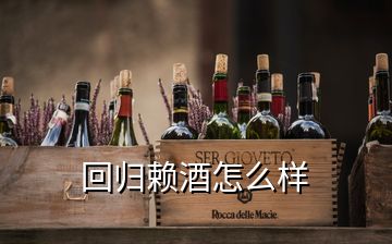 回归赖酒怎么样