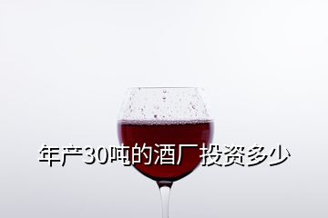 年产30吨的酒厂投资多少