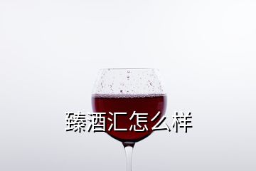 臻酒汇怎么样