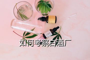 如何考察白酒厂