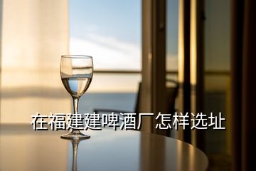 在福建建啤酒厂怎样选址