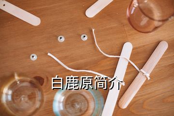 白鹿原简介