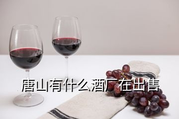 唐山有什么酒厂在出售