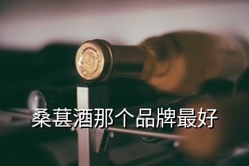 桑葚酒那个品牌最好