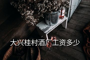 大兴桂村酒厂工资多少