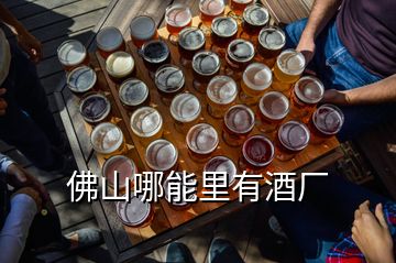 佛山哪能里有酒厂