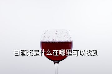 白酒浆是什么在哪里可以找到