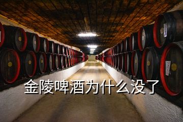 金陵啤酒为什么没了