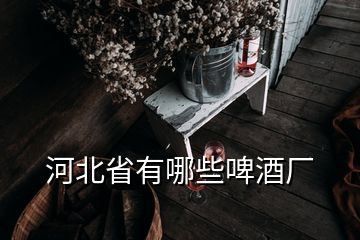 河北省有哪些啤酒厂