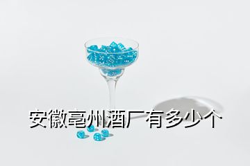 安徽亳州酒厂有多少个