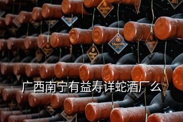 广西南宁有益寿详蛇酒厂么