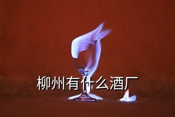 柳州有什么酒厂