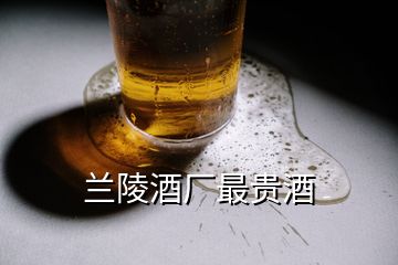 兰陵酒厂最贵酒