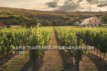 淮北市酒厂出品的年份原浆20年窖藏46度的浓香型白酒是多少钱啊