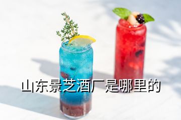 山东景芝酒厂是哪里的