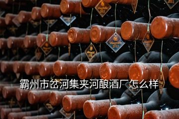 霸州市岔河集夹河酿酒厂怎么样