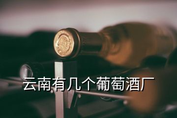 云南有几个葡萄酒厂