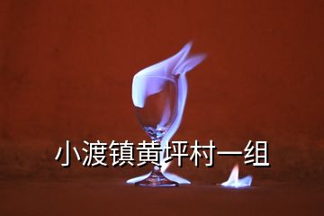 小渡镇黄坪村一组