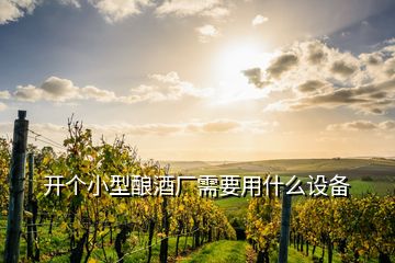 开个小型酿酒厂需要用什么设备