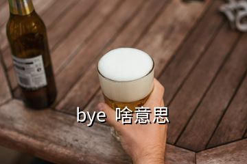  bye  啥意思