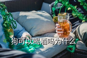 狗可以喝酒吗为什么