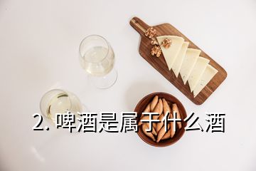 2. 啤酒是属于什么酒