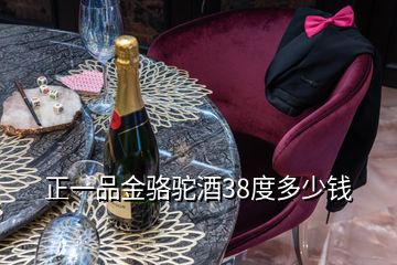 正一品金骆驼酒38度多少钱