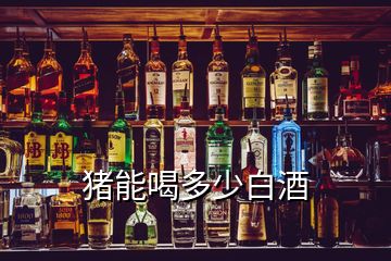 猪能喝多少白酒