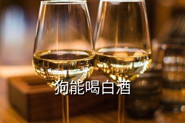 狗能喝白酒