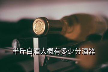 半斤白酒大概有多少分酒器