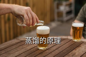 蒸馏的原理