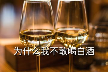 为什么我不敢喝白酒