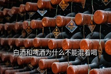 白酒和啤酒为什么不能混着喝