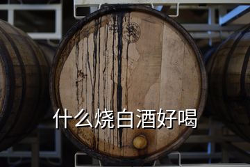 什么烧白酒好喝