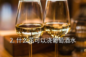 2. 什么花可以浇葡萄酒水